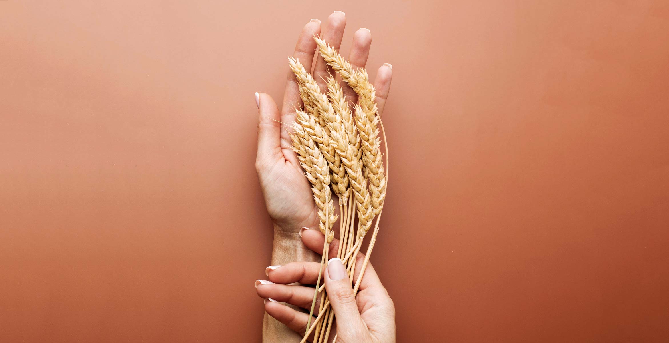 upcycling en cosmética con la cera de grano spent