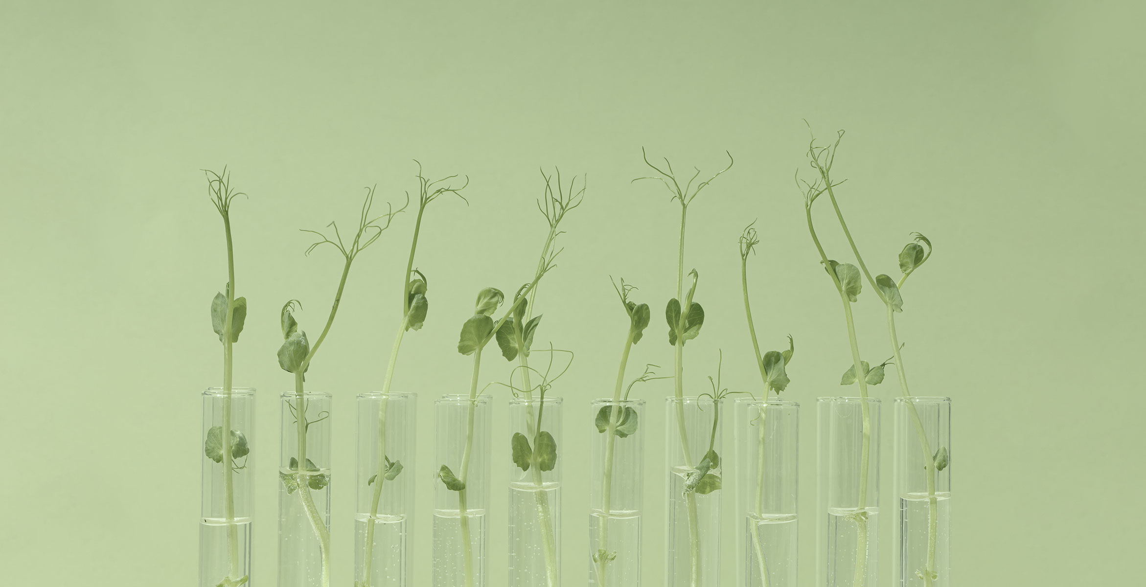 biotecnología en cosmética