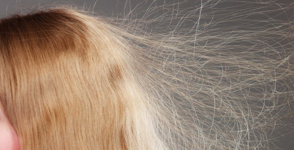 Pelo con frizz Twelve Beauty