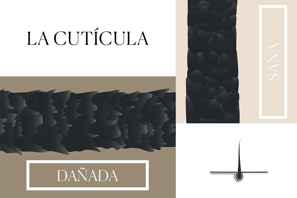 cabello encrespado causas