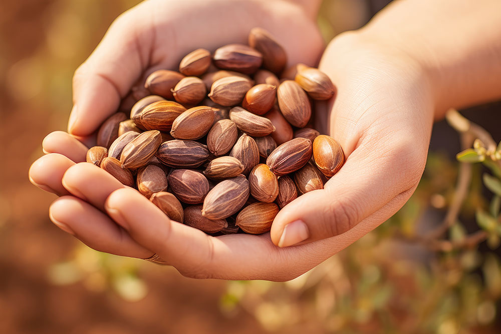 aceite de jojoba fruta