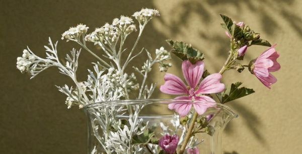 Flores que rescatan la piel